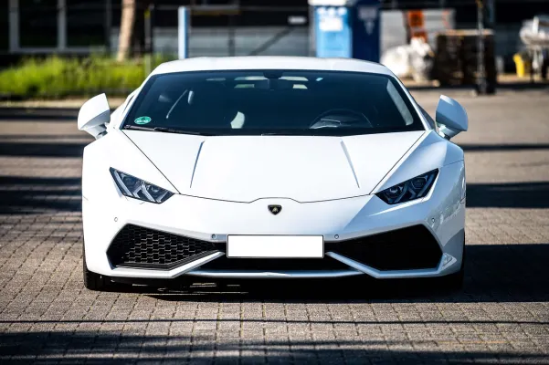 Casino Dogs Fortune Android/iOS Forrit